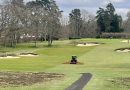 Top-Brush trial becomes working wonder at Worplesdon Golf Club