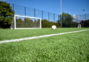 Premium Dried Sports Sand